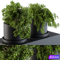 Plants set 47