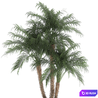 thumb image