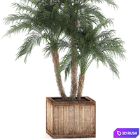 thumb image