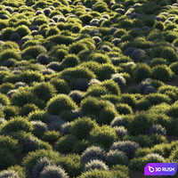 Round grass