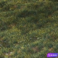 June grass