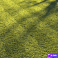 Football pitch lawn