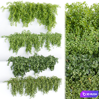 Hanging wall plants collection vol 64