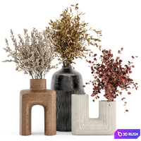 Dry Plants Bouquet Collection In Concrete Pot - Set 442