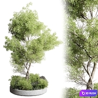 Collection outdoor indoor 85 pot plant & tree & bush
