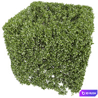 thumb image