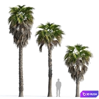 thumb image
