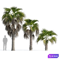 thumb image