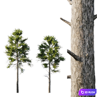 thumb image
