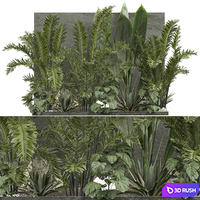 Outdoor Plant 239