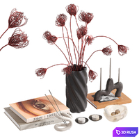 Decorative set with Pink Queen Anne's Lace