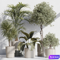 Indoor plant set 71