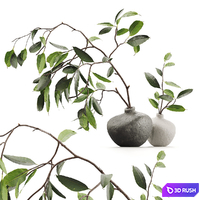Branches in vases