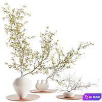 Plants collection set 5