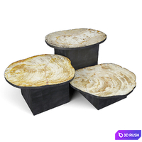 Petrified Wood Slice Coffee Tables 8