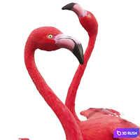 thumb image