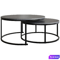 Netice 2 Piece Coffee Table Set