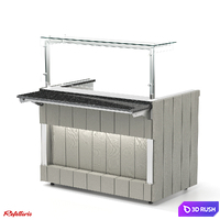 Bain-marie for first courses with electric burners RM1 Capital