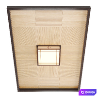Japanese/Korean style ceiling