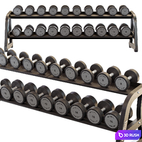 Technogym Two Tier Dumbbell Rack