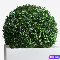 thumb image