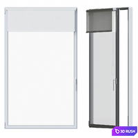 White window with roller blind