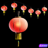 Chinese lantern
