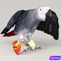 thumb image