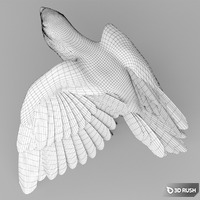thumb image