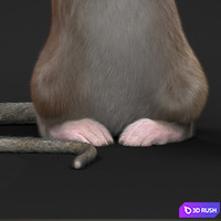 thumb image