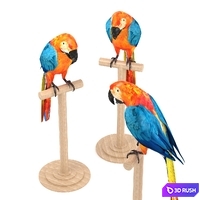 Macaw