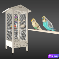 Budgies