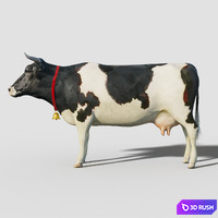 Cow
