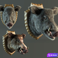 stuffed wild boar