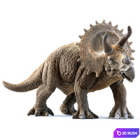 Triceratops