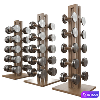 Dumbbell set