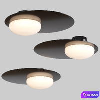 Ceiling lamp 017