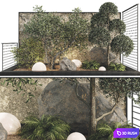 Plant Collection Set 36