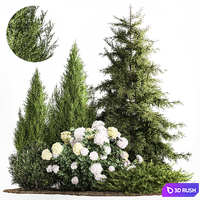Garden of spruce, pine, topiary, white hydrangea bush, flowers, juniper, alpine hill. Plant set 1181