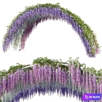 Arch with Wisteria
