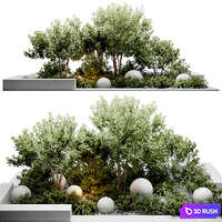 Outdoor plants