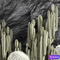 thumb image