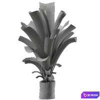 thumb image