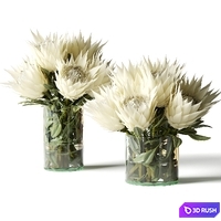 Flower Set white proteas
