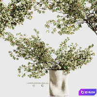 Plants bouquet vase 35