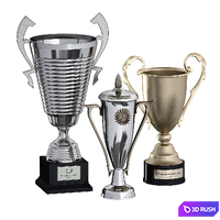 Sports award cup trophy. Set of three cups.