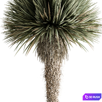 thumb image