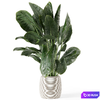 thumb image