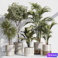 Indoor plant set 78