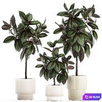 Plant collection 1432